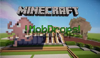 MobDrops Mod 1.11.2, 1.10.2 (More Drops to Vanilla Mobs)