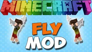 3D Fly Mod 1.11.2 (Liteloader version)