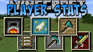 Player Stats 2 Mod 1.11.2, 1.10.2 – Much More Detailed List
