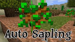 Auto Sapling Mod 1.11.2, 1.10.2 (Saplings Automatically Plant Themselves)