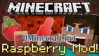 Raspberry Mod