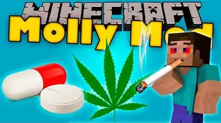 Molly Mod 1.10.2 (Cocaine, Drug, Vodka)