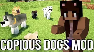 Copious Dogs Mod by wolfpupKG52