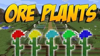 Ore Plants Mod 1.10.2