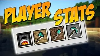 Player Stats Mod 1.10.2, 1.9.4
