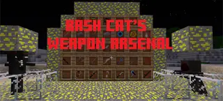 Weapon Arsenal Mod