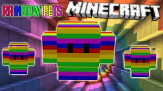 Rainbow Pet Mod