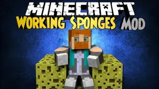 Working Sponges Mod