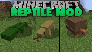 Reptile Mod by thomassu
