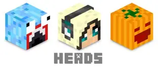 Player Heads Mod