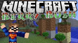 BerryBush Mod