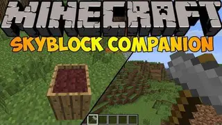 Skyblock Companion Mod
