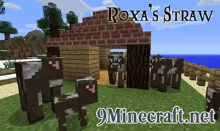 Roxa's Straw Mod