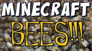 NEI Bees Plugin