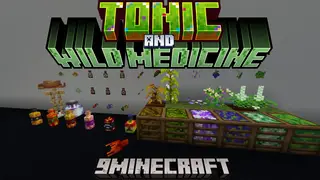 Tonic and Wild Medicine Mod (1.21.11, 1.20.1) – Natural Healing Items, Herbs