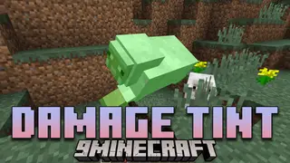Damage Tint Mod (26.2, 1.21.1) – Clearer Hits And Better Strategy
