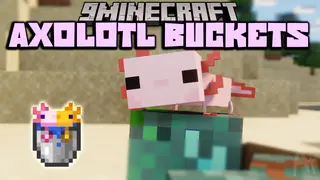 Axolotl Buckets Mod (26.2, 1.20.1) – Show The Color and Age of Axolotls