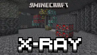 BizCub X-Ray Mod (26.2, 1.20.1) – No Cheats Ores Search Tool