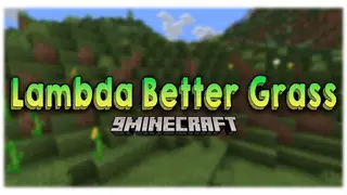 Lambda Better Grass Mod (26.2, 1.20.1) – Connected Textures for Grass Blocks