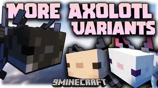 More Axolotl Variants Mod (26.2, 1.20.1) – More Adorable Creatures