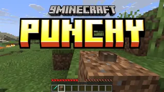 Punchy Mod (26.2, 1.20.1) – First Person Animations