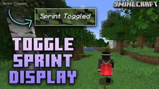 Toggle Sprint Display Mod (26.2, 1.20.1) – Keep Track Of Your Sprint