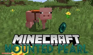 Mounted Pearl Mod (1.21.1, 1.20.1) – Stay Mounted When You Use Ender Pearls
