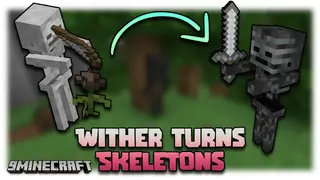 Wither Turns Skeletons Mod (26.2, 1.20.1) – Transforming Skeletons To Wither Skeletons