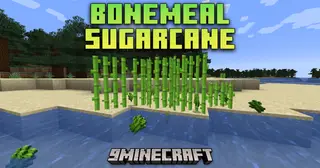 Bonemeal Sugarcane Mod (1.21.11, 1.21.1) – Grow Sugarcane Faster