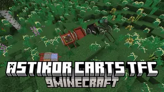 Astikor Carts TFC Mod (1.21.11, 1.20.1) – Discover The Versatility Of Horse-Drawn Carts