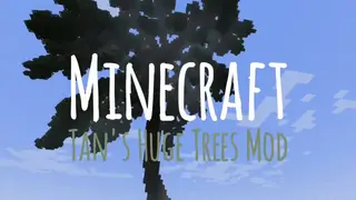 Tan's Huge Trees Mod (1.21.1, 1.20.1) – Upgrade Biomes More Fantasy