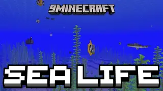 Sea Life Mod (26.2, 1.21.1) – Diverse Fish And Aquatic Life