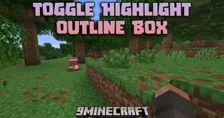 Toggle Highlight Outline Box Mod (26.1.2, 1.21.11) – Capture Perfect