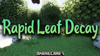 Rapid Leaf Decay Mod (1.21.11, 1.20.1) – Realistic Decaying