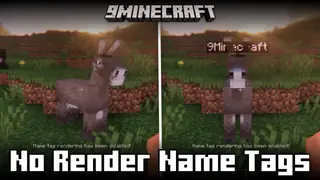 No Render Name Tags Mod (1.21.1, 1.20.1) – Keybind To Hide/Unhide Nametags