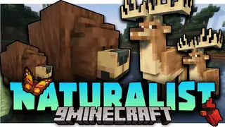 Naturalist Mod (1.21.1, 1.20.1) – The Wildlife is Here