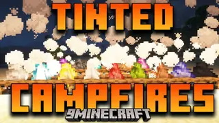 Tinted Campfires Mod (26.1.2, 1.20.1) – Change The Color Of The Campfire