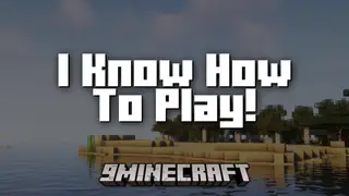 I Know How To Play! Mod (26.2, 1.20.1) – No More Unwanted Game Tips