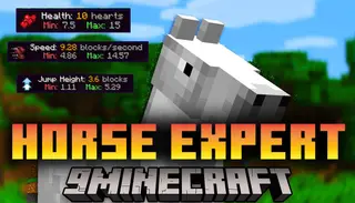 Horse Expert Mod (26.2, 1.20.1) – Horse's Statistics
