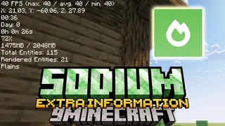 Sodium Extra Information Mod (26.2, 1.21.1) – Displays Real-time Information