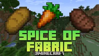 Spice Of Fabric Mod (26.1.2, 1.20.1) – Food Containers