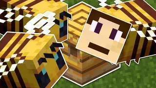 Animorphs Mod (1.20.1) – Morph into Bee, Magma Cube