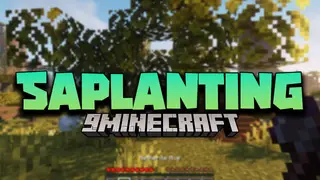 Saplanting Mod (26.1.2, 1.20.1) – Automatically Plant Saps That Were Dropped