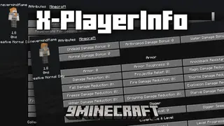 X-PlayerInfo Mod (1.20.1) – Player Statistics Screen