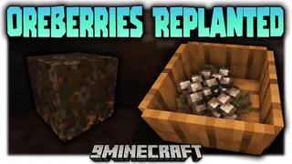 Oreberries Replanted Mod (26.1.2, 1.20.1) – Ores that Grow on Berry Bushes