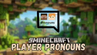 Player Pronouns Mod (26.2, 1.20.1) – Displaying and Respecting Player Pronouns