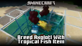 Breed Axolotl With Tropical Fish Item Mod (26.2, 1.20.1) – Use Fish Instead Of Bucket Of Fish