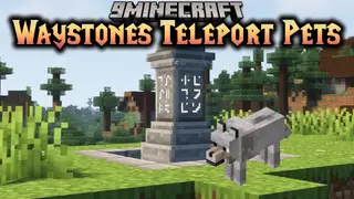 Waystones Teleport Pets Mod (26.1.2, 1.20.1) – Easy to Travel with Your Pets