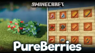 Pure Berries Mod (1.21.11, 1.20.1) – Adds Blueberries & More Consumables