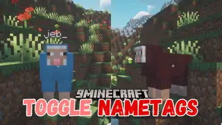 Toggle Nametags Mod (26.1.2, 1.20.1) – Toggle All Entity Nametags